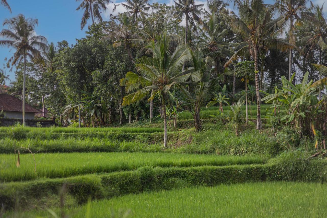 Suara Air Luxury Villa Ubud Exterior photo